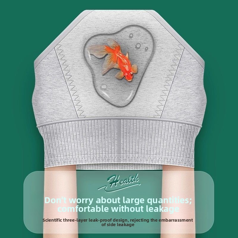 2枚セット、女性用ハイウエスト生理用ショーツ、綿素材、漏れ防 - Period Panty Absorbent のレビューと価格